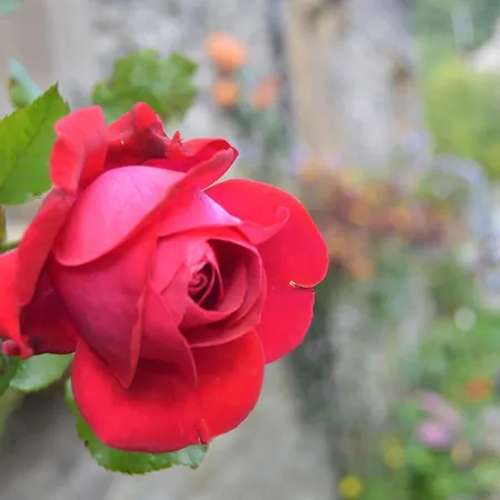 The Buck Inn, 여관